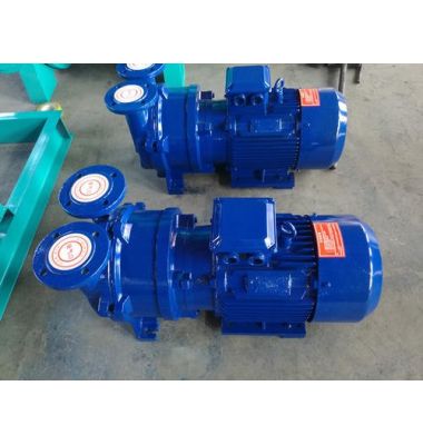 WXZ型無油直聯(lián)旋片真空泵-揚州達瑞